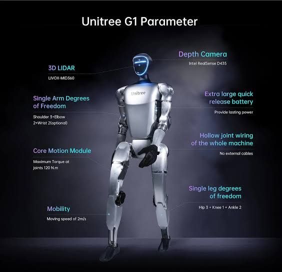 Autonomous Robots